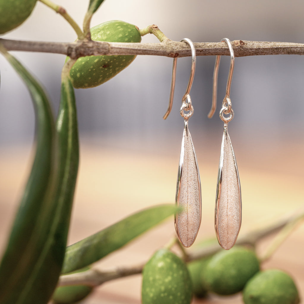 Close up of sterling silver olive leaf earrings on hooks hanging on an olive branch with olives in background.