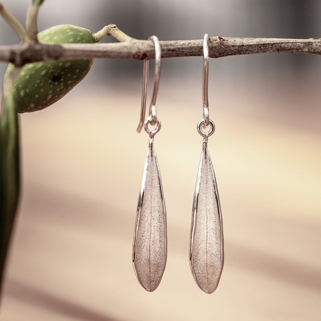 Close up of sterling silver olive leaf earrings on hooks hanging on an olive branch.