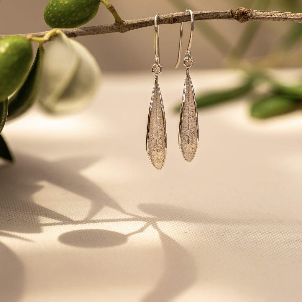 Sterling silver olive leaf earrings on hooks hanging on an olive branch.